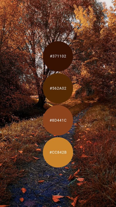 Dark warm brown and orange are beautifully contrasted with gold / mustard. Try it in the master / primary bedroom, kitchen, library, or dining room. #colourpalette #colorpalette #colour #color #palette #autumn #fall #orange #red #brown #gold #leaves Dark Orange Interior Design, Mustard And Brown Bedroom, Dark Brown Palette Colour Schemes, Autumn Colour Pallet, November Colour Palette, Brown Orange Bedroom, Warm Pallet Colors, Dark Orange Color Palette, Brown Contrast Color Schemes