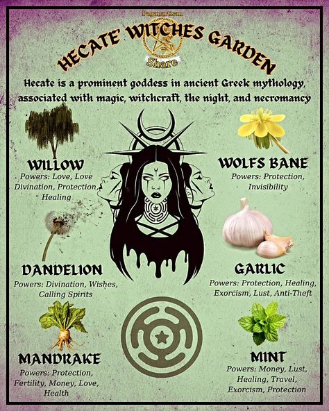 **Hecate's Witches Garden: A Mystical Sanctuary** Hecate, the ancient goddess of magic and witchcraft, inspires many to create enchanting witches' gardens. These mystical spaces are not just about aesthetics; they are sanctuaries for spiritual growth and connection with nature. 🌿✨ A Hecate-inspired garden often features plants like mugwort, lavender, and yew, each holding unique magical properties. These gardens serve as a haven for meditation, spellwork, and rituals under the moonlight. 🌕🔮... Hecate Correspondence, Space Witch Aesthetic, Hecate Herbs, Witch Garden Design, Working With Hecate, Witches Plants, Witchy Vision Board, Working With Deities, Witch Activities