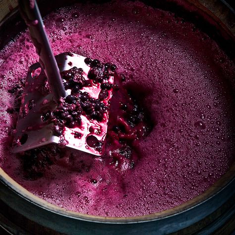 Processing Perfection on Behance Winemaker Photography, Wine Process, Wine Marketing, Wine Making Process, Berry Punch, Wine Stand, Wine Event, Wine Photography, Fruit Wine