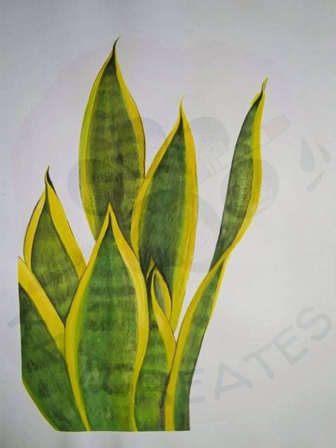 Watercolor Snake Plant, Snake Plant Painting, Green Reference, Vine Snake, Ideas Cuadros, Snake Painting, Plant Watercolor, Watercolor Green, Snake Art