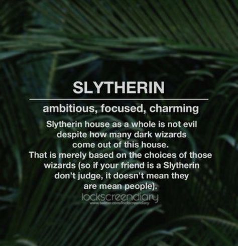 Slytherin Outfit, Slytherin Wallpaper, Dark Wizard, Professor Snape, Slytherin House, Slytherin Aesthetic, Harry Potter Wallpaper, Mean People, Harry Potter Aesthetic