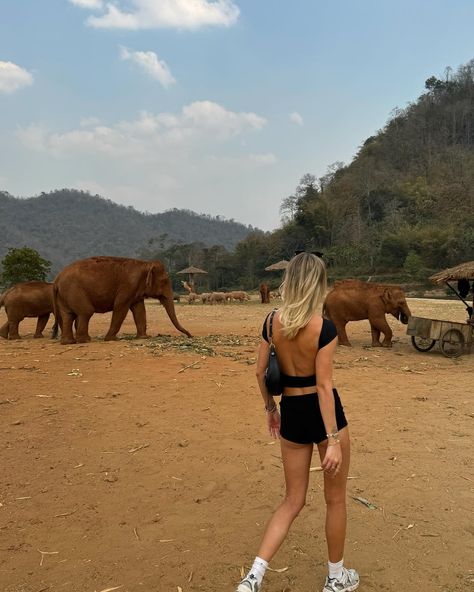 Swipe to see why this day was so special🥹🐘🐘🐘 Had the best day visiting the elephants in Chang Mai! They are an ethical sanctuary and it was so amazing to see them happy and relaxed in a safe place🐘🥺 #outfitinspo #pinterestaesthetic #blackoutfit #springstyle A Safe Place, The Best Day, Safe Place, Black Outfit, Daily Outfits, Good Day, Spring Fashion, Elephant, Good Things