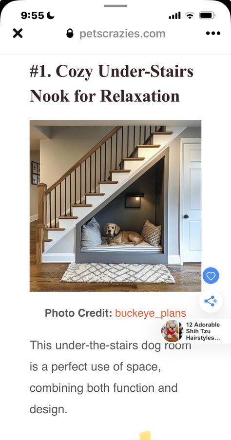 Dog Corner Under Stairs, Under Stairs Ideas Dog, Doghouse Under Stairs, Under Stairs Dog House Ideas, Understairs Dog Kennel Ideas, Under Stairs Dog Area, Under Stair Doghouse, Dog Area Under Stairs, Dog Crate Under Stairs