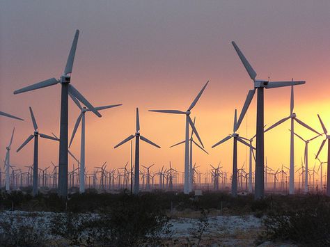 Wind farm...turbines Windmill Water, Wind Mills, College Search, Lubbock Texas, Wind Farm, Wind Turbines, Wind Energy, Water Wheel, State Of Texas