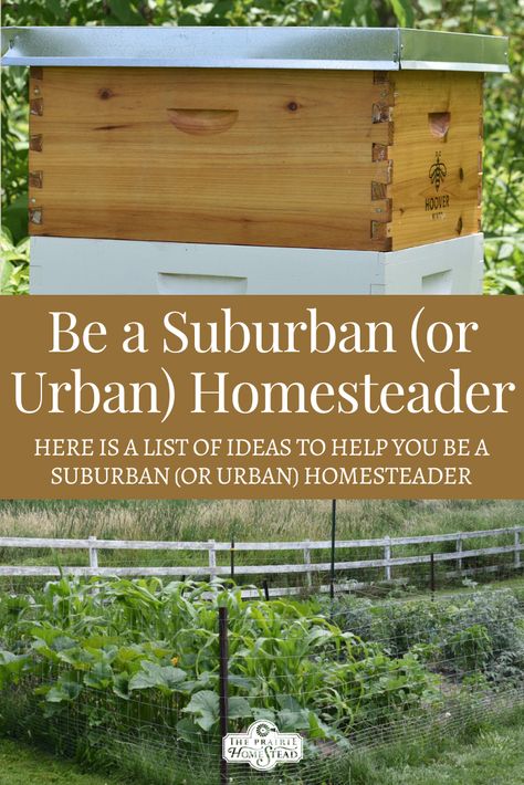 Permaculture, Self Sufficient Living For Beginners, Homesteading In Town, Urban Homesteading Backyard Small Spaces, Urban Homesteading For Beginners, Urban Homesteading Ideas, Smallholding Ideas, Homestead Urban, Suburban Permaculture