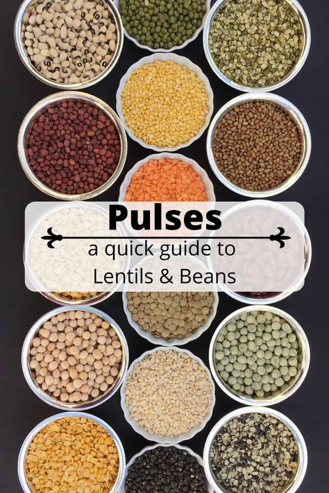 Indian Pulses - Here is quick deconstructed guide that explains some of the common lentils, beans and peas used in indian cooking. #ministryofcurry Indian Pulses, List Of Lentils, Benefits Of Lentils, Benefits Of Lentils Health, Legumes List, Cereals And Pulses, Lentils Nutrition Facts, Indian Food Culture, Indian Lentils Dal