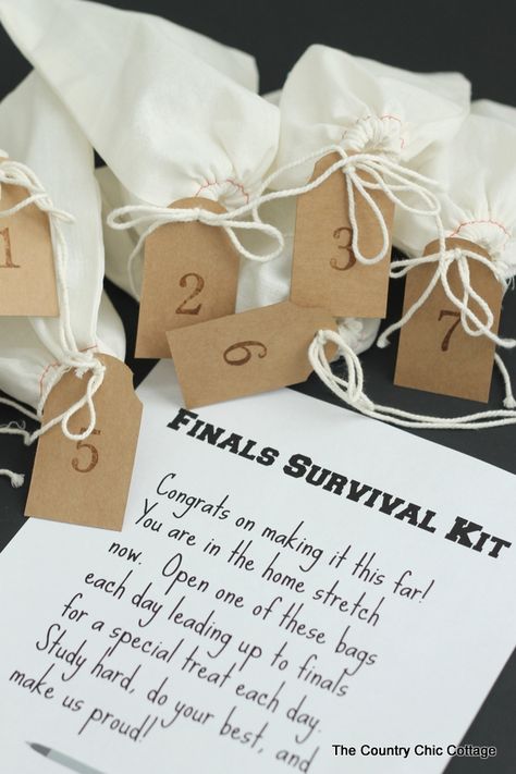 Finals Survival Kit -- sending this little care package to my college student today! Finals Survival Kit, Finals Care Package, Finals Week College, College Survival Kit, College Finals, Survival Kit Gifts, College Survival, Care Pack, Survival Supplies