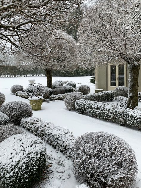 Winter Backyard, French Gardens, Boxwood Garden, Winter Gardens, Brief Encounter, Spring Images, Wrought Iron Fences, Stone Planters, English Country Gardens