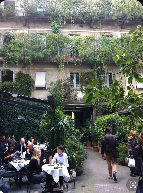 Biophilic Architecture, 10 Corso Como, Cafe Terrace, Corso Como, Ice Melting, Northern Italy, Milan Italy, Lake Como, Tropical Garden