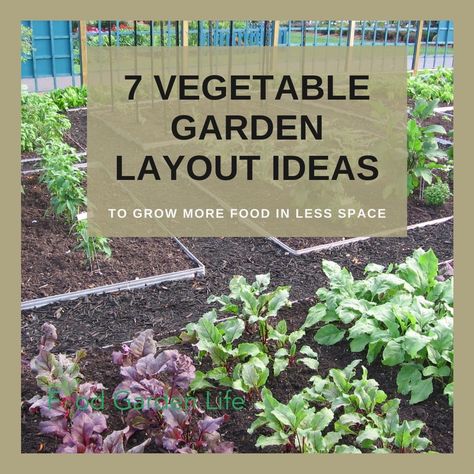 7 Vegetable Garden Layout Ideas To Grow More Food In Less Space — Food Garden Life: Edible Garden, Vegetable Garden, Edible Landscaping Vegetable Garden Layout, Garden Formal, Borders Garden, Entrance Garden, Embroidery Garden, Vegetables Garden, Garden Layouts, Vegetable Garden Planner, Gardening Guide