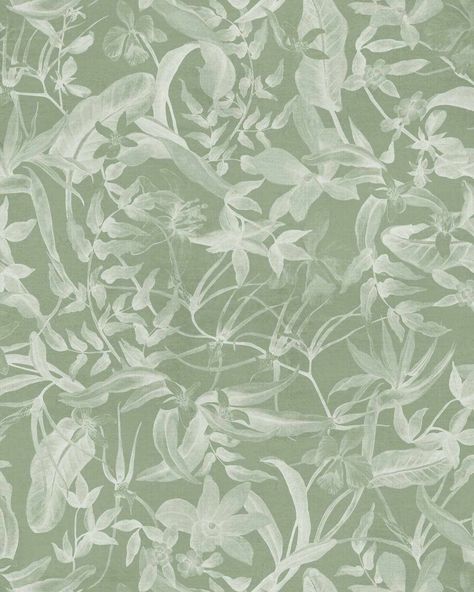 Foliage in Sage Green Wallpaper-Wallpaper-Buy Australian Removable Wallpaper Now Sage Green Wallpaper Peel And Stick Wallpaper Online At Olive et Oriel Custom Made Wallpapers Wall Papers Decorate Your Bedroom Living Room Kids Room or Commercial Interior Sophisticated Wallpaper, Green Bedroom Walls, Modern Wallpaper Designs, Soft Sage Green, Sage Green Wallpaper, Your Wallpaper, Latest Wallpapers, Paint Types, Wallpaper Trends