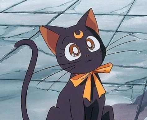 Simple Person, Anime Cats, 90s Anime, A Hero, Sailor Moon, Lemonade, Black Cat, Moon, Twitter