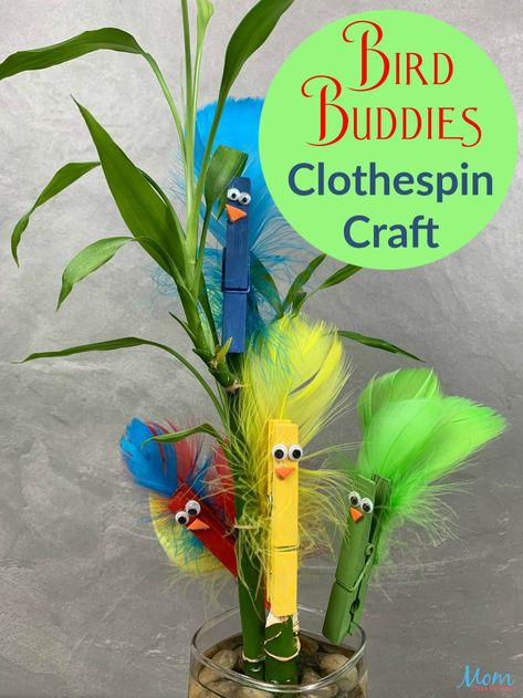 Super Cute Bird Buddies Clothespin Craft - Mom Does Reviews Clothespin Birds, Clothespin Animals, Clothespins Crafts, Jungle Vbs, Clothespin Diy Crafts, Girls Crafts, Clothespin Art, Camp Ground, Garden Unit