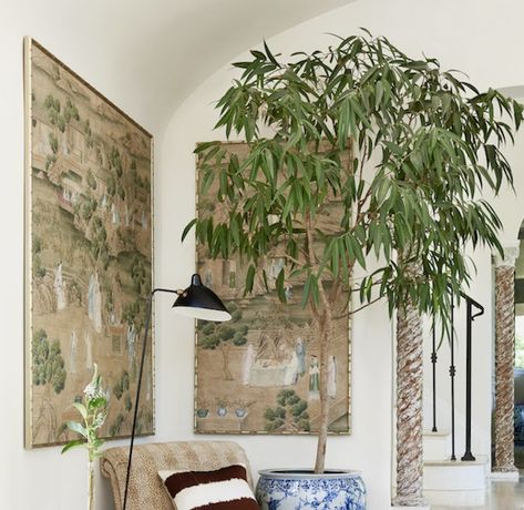 Chinoiserie Chic: Sourcing Large Chinoiserie Planters Chinoiserie Planter Indoor, Large Chinoiserie Planter, Mark D Sikes Interiors, Chinoiserie Planter, Outdoor Topiary, Rattan Planters, Art Plants, Modern Lights, Mark D Sikes