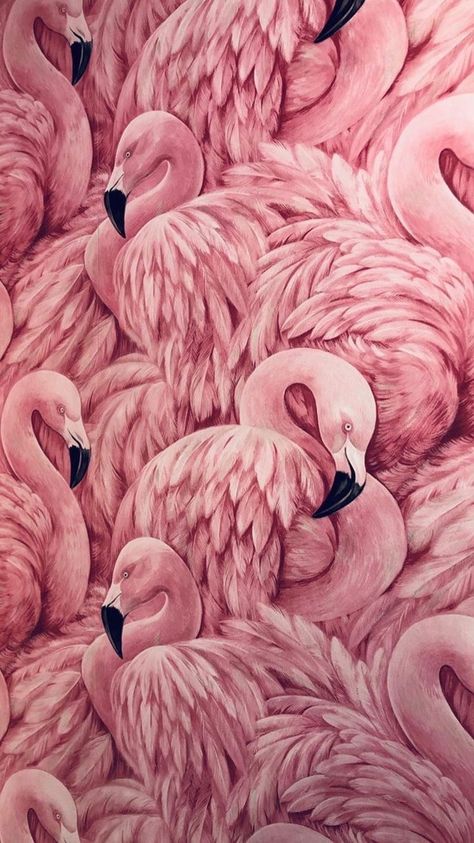 Aesthetic Flamingo, Pink Flamingo Wallpaper, Flamingo Wallpaper, Flamingo Painting, Flamingo Art, Pop Art Wallpaper, Picture Collage Wall, Cat Air, Phone Wallpaper Patterns