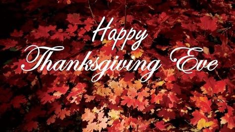 Happy Thanksgiving Eve Thanksgiving Eve Quotes, Happy Thanksgiving Eve, Quotes Thanksgiving, Happy Thanksgiving Pictures, November Quotes, Thanksgiving Eve, Thanksgiving Pictures, Thanksgiving 2020, Happy Thanksgiving Quotes