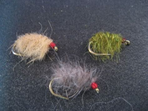 Jeremy Hunt of www.flysandguides.com will show you how to tie a Dubbed Body Scuds for Taneycomo. This pattern catches some big fish during the brown run. Scud Fly Patterns, Fly Tying Desk, Caddis Flies, Fly Fishing Tips, Fly Patterns, Fly Tying Patterns, Ice Fishing, Trout Fishing, Big Fish