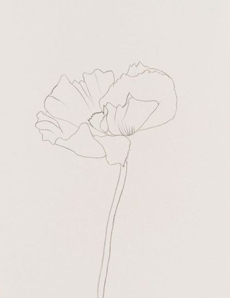 Groovy Art, Flower Sketch, Flower Illustrations, Ellsworth Kelly, Plant Drawing, Flowers Art, Art And Illustration, Drawing Tutorials, Heart Art