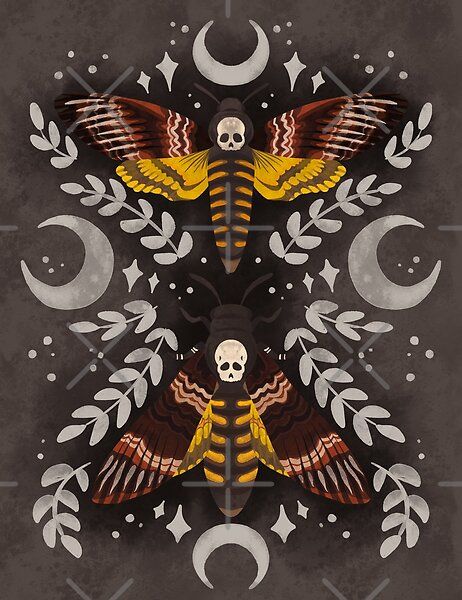 Skull Moth by serafineaandd | Redbubble Celestial Watercolor, Moth Illustration, Skull Moth, Surface Pattern Design Inspiration, Cottage Core Art, Deaths Head Moth, Pattern Design Inspiration, Moth Tattoo, Whimsical Decor