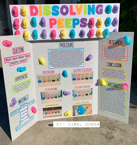 Candy Science Fair Projects, Science Project Poster Board Ideas, Aesthetic Science Fair Projects, Makeup Science Fair Projects, Science Fair Project Ideas High School, Softball Science Fair Projects, Cute Science Fair Projects, Science Fare Project Ideas, Science Fair Boards Display