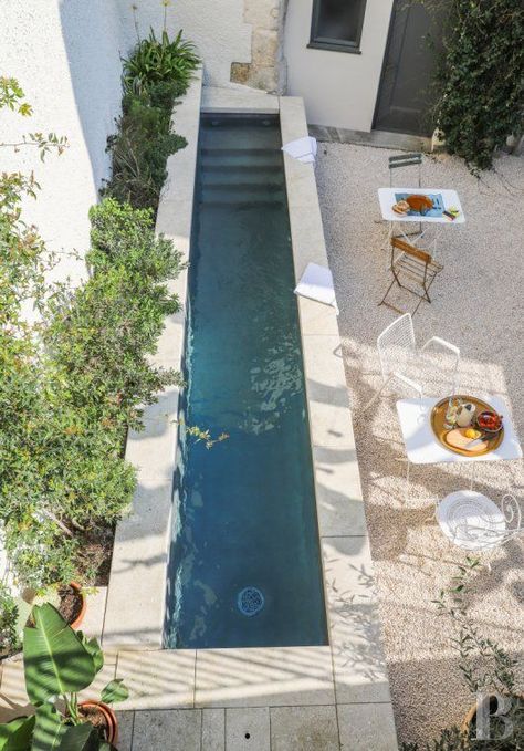 a small outdoor space with white garden furniture, a long narrow pool, growing greenery is a cool nook Piscinas Pequeñas, Concrete Pools, Mini Piscina, Pools For Small Yards, Cozy Garden, Small Pool Design, Mini Pool, Small Pools, Small Outdoor Spaces