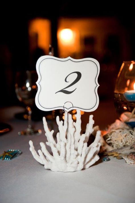 DIY nautical tropical coral wedding centerpiece table numbers - coral three pronged picture holders from Kohl's with two prongs cut off and table numbers from Michael's Tropical Coral Wedding, Centerpiece Table Numbers, Coral Wedding Centerpieces, Diy Jewelry Hanger, Diy Candles Design, Shell Bouquet, Diy Christmas Star, Diy Nautical, Diy Wedding Centerpieces