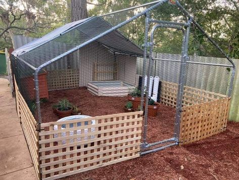 Diy Duck Enclosure, Duck Enclosure, Reban Ayam, Backyard Ducks, Chicken Coop Garden, Cute Chicken Coops, Backyard Chicken Coop Plans, Diy Chicken Coop Plans, Chicken Coop Run