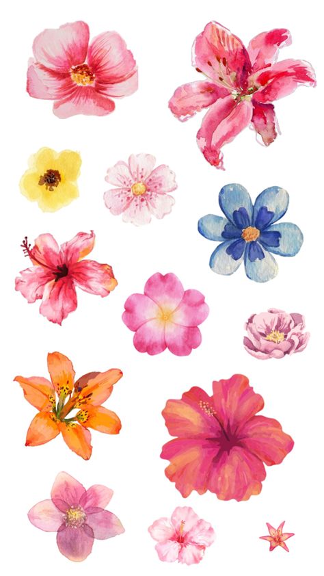 #collage #aesthetic #flower #flowers #lilies #hibiscus #watercolor #paintings #viralpost Hibiscus Watercolor, Sunset Hues, Hibiscus Print, Flower Collage, Watercolour Paint, Aesthetic Flower, Art Watercolour, Aesthetic Painting, Hibiscus Flower