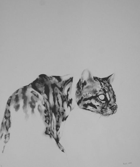 Gorgeous Ocelot drawing that would make an insane tattoo... Cat Tattoos, Ocelot Drawing, Ocelot Tattoo, James Tattoo, 3 Tattoo, Boyfriend Crafts, Aztec Art, Tattoo Tattoo, Tattoo You