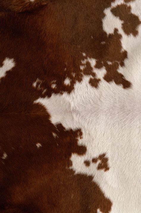 Modern Cowboy Aesthetic, Cow Print Wallpaper, Picture Gallery Wall, Skin Drawing, Cow Pictures, Western Wall Art, Graph Design, Western Aesthetic, Collage Background