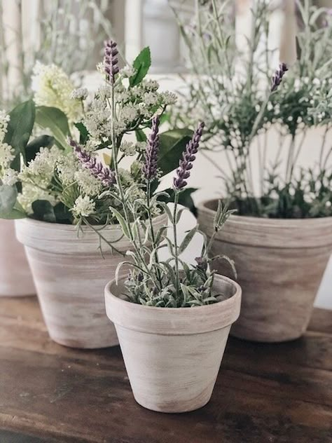 Small Terra Cotta Pots, Terra Cotta Flower Pots, White Terra Cotta Pots, Terra Cotta Pot Wedding Decor, Chalk Paint Terra Cotta Pots, Flowers In Terracotta Pots, White Terracotta Pots, Plants In White Pots, White Wash Terra Cotta Pots