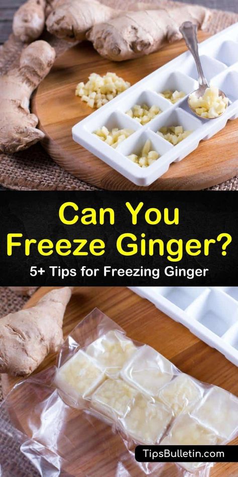 Freezing Ginger, Freeze Ginger, Ginger Root Recipes, Storing Fresh Ginger, How To Store Ginger, Freezing Vegetables, Freezing Herbs, Dry Ginger, Ginger Recipes