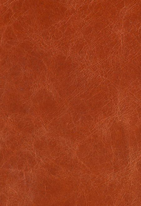 Hermes orange leather seat covering Tela, Orange Leather Texture, Texture Cuir, Speakeasy Decor, Orange Texture, Hermes Orange, Flower Collage, Leather Seat Covers, Burnt Orange Color