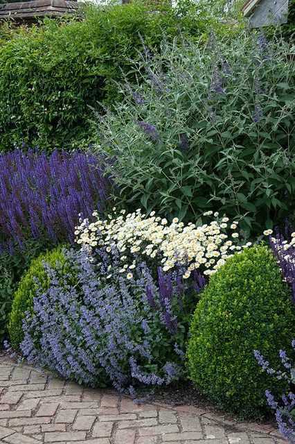 Herbaceous Border, Desain Lanskap, Cottage Garden Design, Landscape Edging, Garden Shrubs, Garden Area, The Secret Garden, Front Yard Garden, Garden Borders