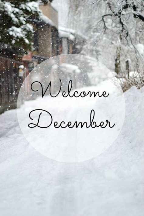 Wow, December already! How did that happen?!? So excited for the next few weeks, LOVE This time of year xx I Love Snow, Winter Schnee, Winter's Tale, I Love Winter, Winter Love, Winter Magic, Winter Beauty, Snow Scenes, Snowy Day