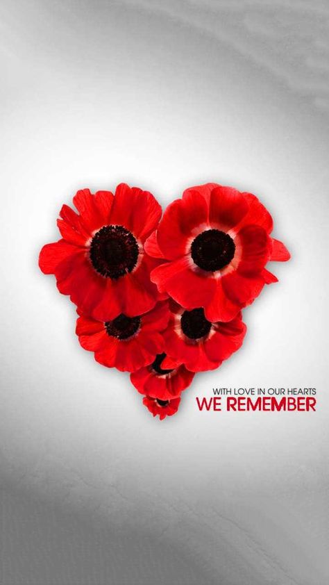 Remembrance Day Wallpaper Discover more Lest We Forget, Memorial Day, Military, November 11, Poppy wallpaper. https://www.ixpap.com/remembrance-day-wallpaper-4/ Poppy Pictures Remembrance, Remberence Day, Poppy Iphone Wallpaper, Remembrance Day Wallpaper, November 11 Remembrance Day, Remembrance Day Images, Remembrance Day Photos, Poppy Remembrance Day, Remembrance Day Canada