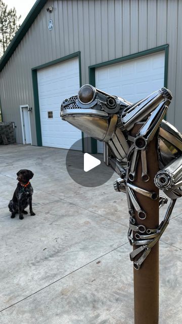 David Groenjes on Instagram: "Another big frog, this one modeled after our native Grey Tree Frog.  Stainless and steel mix will create a striking contrast after weathering occurs.

#dgsculptureanddesign #adventuresinmetal #froggy #tadpole #frog #greytreefrog #treefrog #scrapart #recycledart #vintage #amphibians #exotic #exoticpet #exoticpets #welding #millerwelders #artist" Wire Frog Sculpture, Grey Tree Frog, Gray Tree Frog, Welded Frog Art, Cute Frog Sculpture, Welded Dog Sculpture, Chainsaw Art, Gray Tree, Bushveld Rain Frog