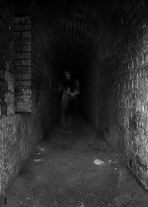 Images Terrifiantes, Scary Photos, Creepy Photos, Creepy Images, Real Ghosts, Creepy Pictures, Ghost Pictures, Ghost Photos, 다크 판타지