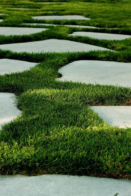 {112} Grass around concrete by The Inadvertent Gardener, via Flickr Stone Walkways, Flagstone Patio, Garden Stepping Stones, Stone Walkway, Garden Walkway, Magic Garden, Stone Path, Sprinklers, Garden Path