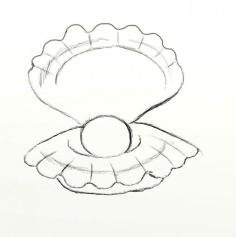 Learn how to draw an opened clam with a pearl in the center. Pearled clams are beautiful and this is a must see tutorial if you want to learn how to draw something fun and visually appealing. Clam Shell Drawing, Shell Drawing Simple, Seashell Drawing, Clam Pearl, Shell Drawing, Sea Drawing, Drawing Simple, Arte Disney, Anime Drawings Tutorials