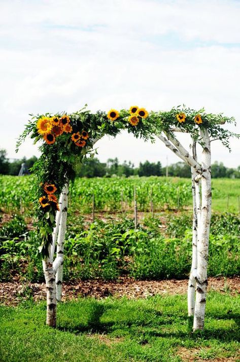 Sunflower Arch, Wedding Trellis, Fall Wedding Arches, Wedding Arches Outdoors, Wedding Arch Rustic, Wedding Ceremony Ideas, Wedding Arches, Wedding Arbour, Farmhouse Wedding