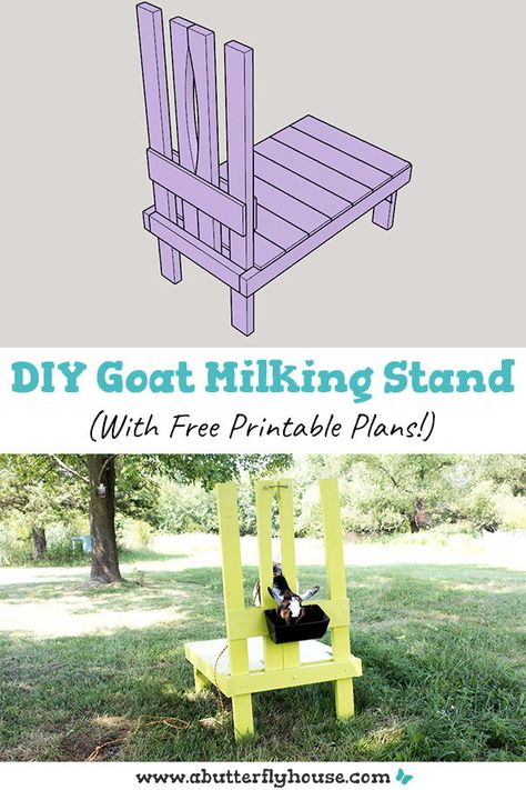 These DIY goat milking stand plans are easy and inexpensive. Includes full photo tutorial with free printable plans! #homesteading #diyproject Goat Stanchion Plans, Goat Stand Plans, Diy Milking Stand For Goats, Goat Milk Stand Plans, Goat Milk Stand Diy, Goat Milking Stand Plans, Goat Milking Stand Diy Plans, Diy Goat Milking Stand, Colorado Farming