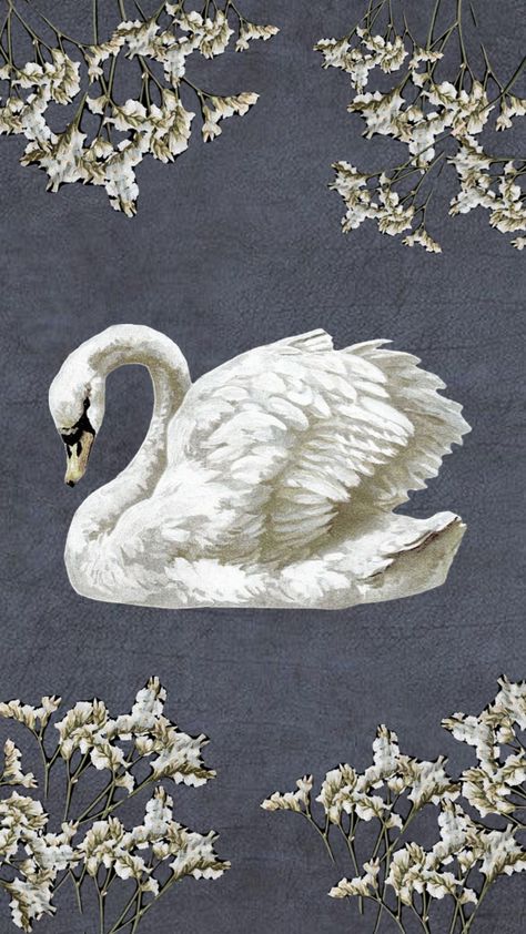 #backround #wallpaper #vintageaesthetic #vintage #aesthetic #renaissance #swan #swanlake #art Swan Wallpaper Aesthetic, Swan Aesthetic Wallpaper, Vintage Wallpaper Lockscreen, Swan Aesthetic, Swan Wallpaper, Wallpaper Boho, Phone Wallpaper Boho, Painting Tips, Swans