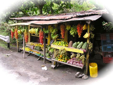 Vegetable Stand Roadside, Road Side Stand Ideas, Road Side Stand, Roadside Restaurant, Roadside Stand, Vegetable Stand, Stand Ideas, Side Stand, Panama City