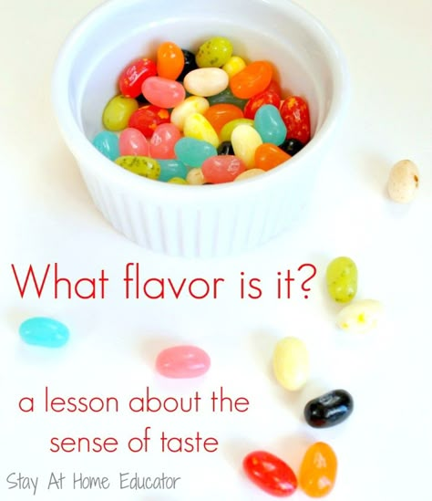 Five Senses Activity for Preschool and Kindergarten. What Flavor is it? Foods And Flavors Preschool Theme, 5 Senses Preschool, Taste Sense, Five Senses Preschool, 5 Senses Activities, My Five Senses, Senses Preschool, Senses Activities, Kindergarten Science