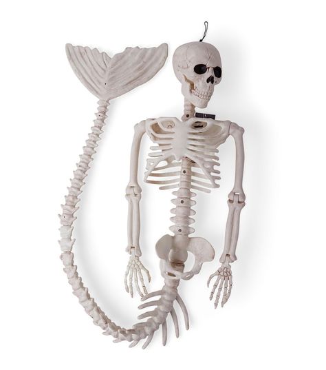 Upgrade Your Halloween Decor with the 4' Halloween Mermaid Skeleton by Place & TimeTake your Halloween decor to the next level with the Halloween Mermaid Skeleton by Place & Time This unique and eye - catching piece is sure to impress your guests and add a touch of spookiness to any space With posable arms and a tail, you can customize the pose of this realistic bone - colored mermaid skeleton to fit your desired display Whether you choose to showcase it in your garden, on your porch, or even in Halloween Mermaid, Octopus Decor, Happy Halloweenie, Mermaid Skeleton, Halloween Bathroom, Halloween Skeleton Decorations, Mermaid Halloween, Skeleton Decorations, Pool Party Decorations