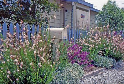 Coastal Landscaping, Seaside Garden, Drought Tolerant Garden, Drought Tolerant Landscape, Cottage Garden Design, Coastal Gardens, English Cottage Garden, Traditional Exterior, Beach Cottage Style