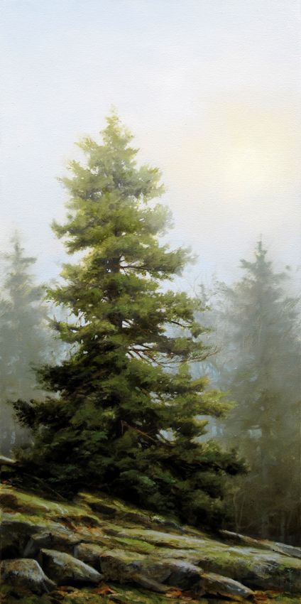 Renato Muccillo, Foggy Day, Tableau Art, Watercolor Trees, Art Tutorial, Malbec, Pine Tree, Tree Art, Art Watercolor