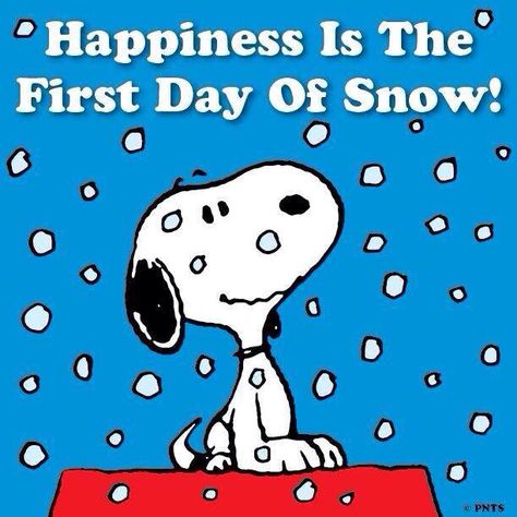 First snowfall Hello Kitty Imagenes, Snoopy Dog, Lucy Van Pelt, First Day Of Winter, Winter Quotes, Peanuts Cartoon, Peanuts Characters, Snoopy Quotes, Peanuts Christmas