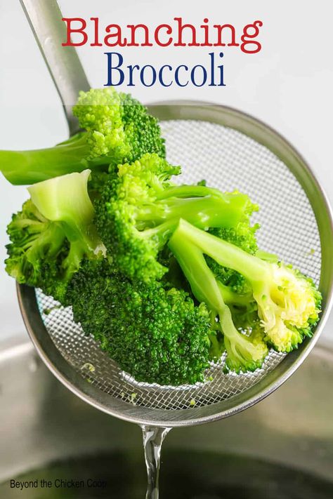 Blanching broccoli is a great way to parboil broccoli to cook broccoli to preserve the crispness and vibrant color. Use in casseroles, eat as is or freeze to use later. #broccoli #blanching #parboil Blanch Broccoli How To, Cleaning Broccoli, Blanch Broccoli, Boiling Broccoli, Barbara Broccoli, Baby Broccoli Recipe, Blanching Broccoli, Blanched Broccoli, Freezing Veggies